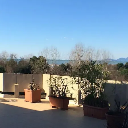 Attico La Terrazza - Marina Di - Ronchi *